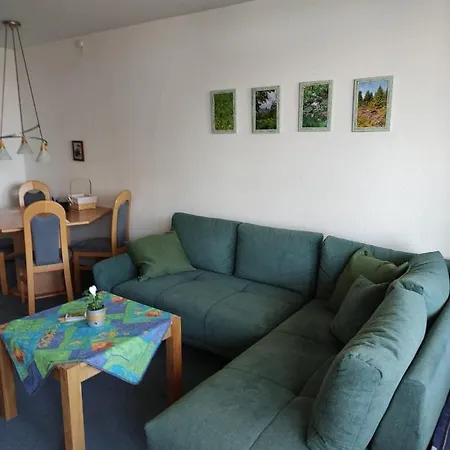 Apartment Braunlage/hohegeiss Mit Schwimmbad *