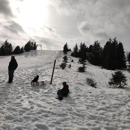 Braunlage/hohegeiss Mit Schwimmbad Lejlighed *